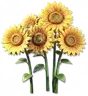 Girassol