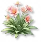 Lírio Rosa