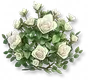 Florecanta