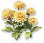 Calêndula Dourada