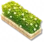 Arbusto - Cubo