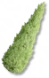Árvores Cônicas