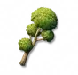 Árvores Pompons: I