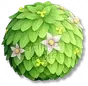 Arbustos Floridos