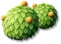 Arbustos Frutíferos