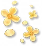 Lua da Colheita - Chuva de Osmanthus