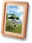 Quadro Emoldurado de Ervazum