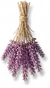 Buquê de Alfazema Seca III