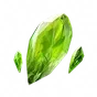 Fragmento de Planta