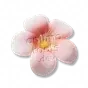 Pacote de Presilha com Flor