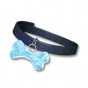Coleira do Pipo