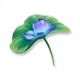 Pacote de Sombrinhas Lírio de Água