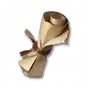 Florigarra sob o céu estrelado