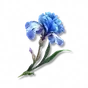 Flores ao Natural