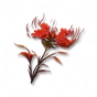 Flor de chama