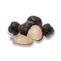 Supetrufa