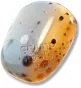 Amolita