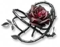 Rosa Espinho Sombrio