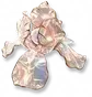 Íris Prismática