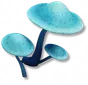 Lunamelo