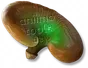 Jade-lingzhi