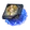 Voice of the Voyager